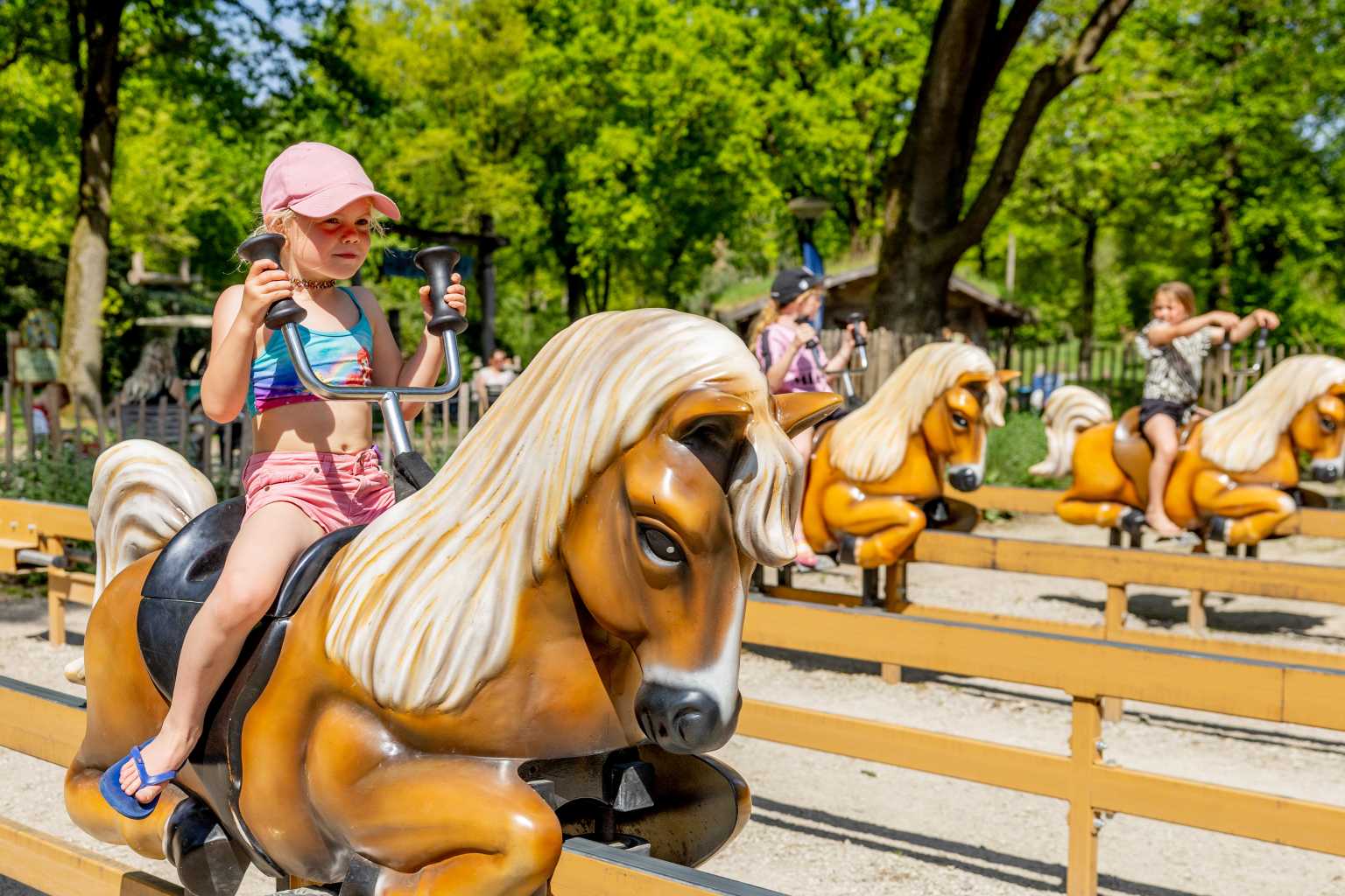 Girl sat on pony express fence ride at Vakantiepark de Bergen campsite in the Netherlands