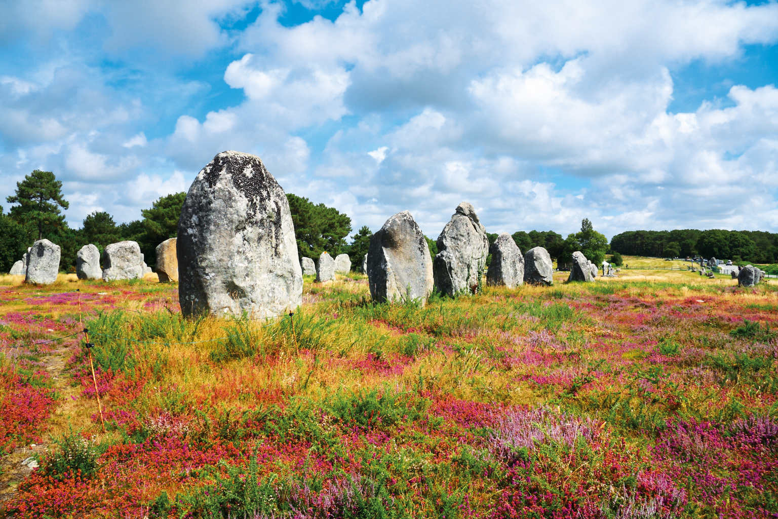Carnac Plage, les menhirs, campsite, south brittany, standing stones