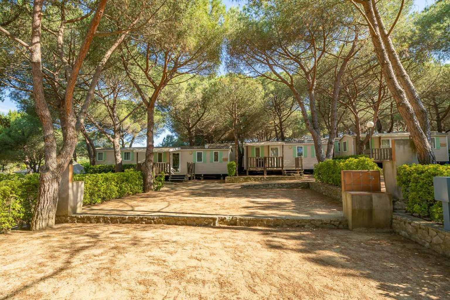 Internacional Palamós 19