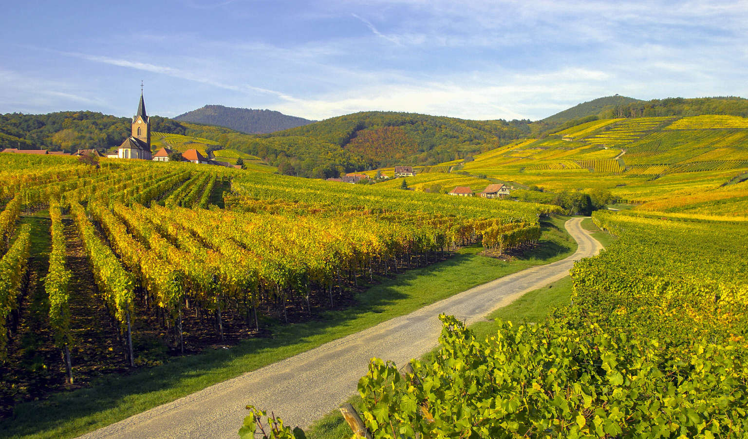 L'Ile du Rhin 16