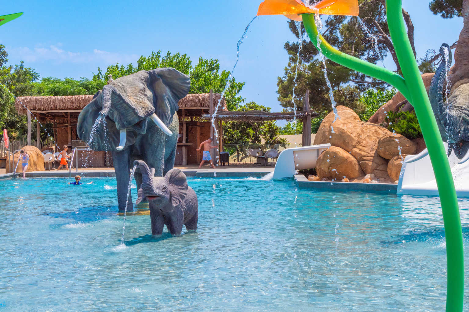 salou, sanguli, campsite, costa dorada, elephants in pool
