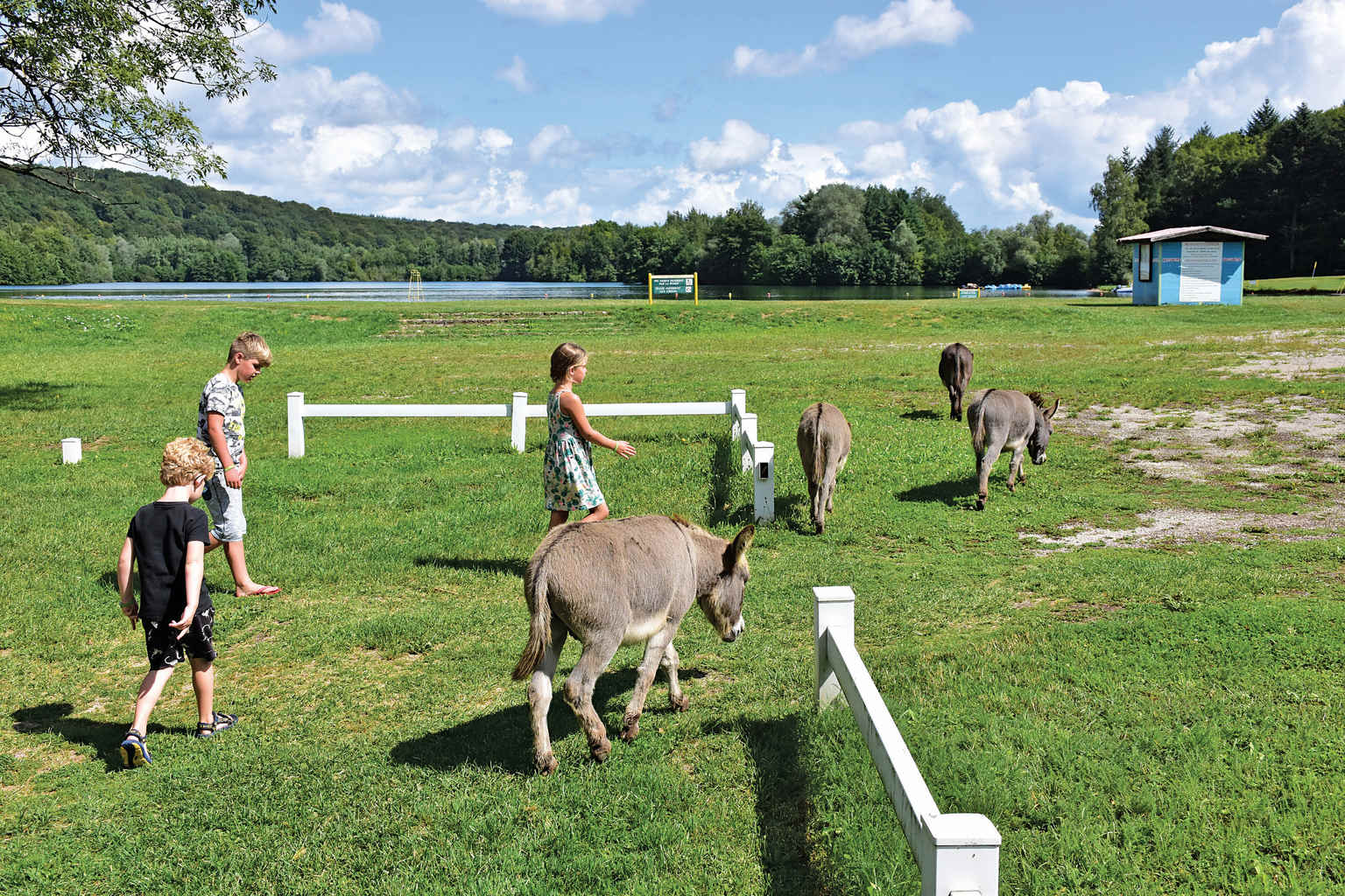 Rougemont, Le Val de Bonnal, Jura, campsite, kids clubs