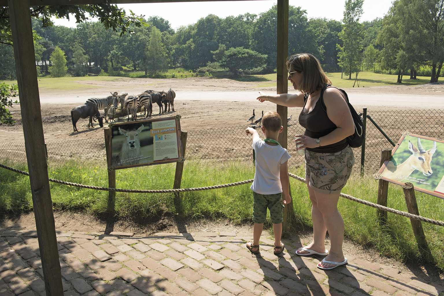 Lake Resort Beekse Bergen, Hilvarenbeek, Netherlands, campsite, safari park