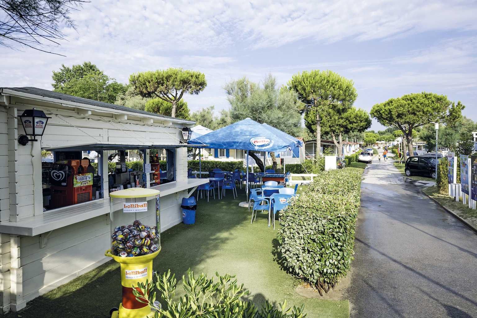 Lido di Pomposa, vigna sul Mar, campsite, adriatic, italy, bar
