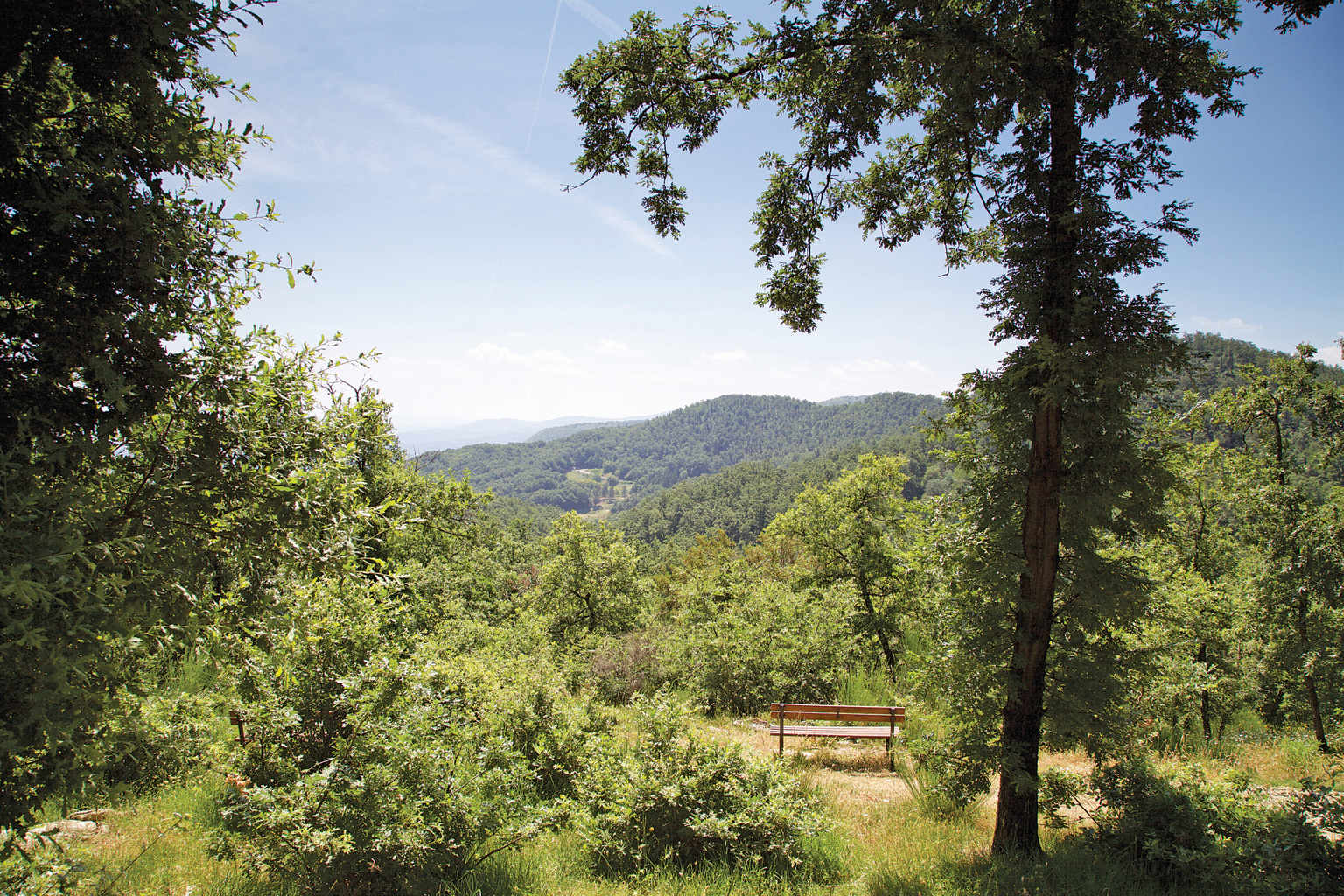 Camping Orlando in Chianti, Cavriglia, Tuscany, countryside views