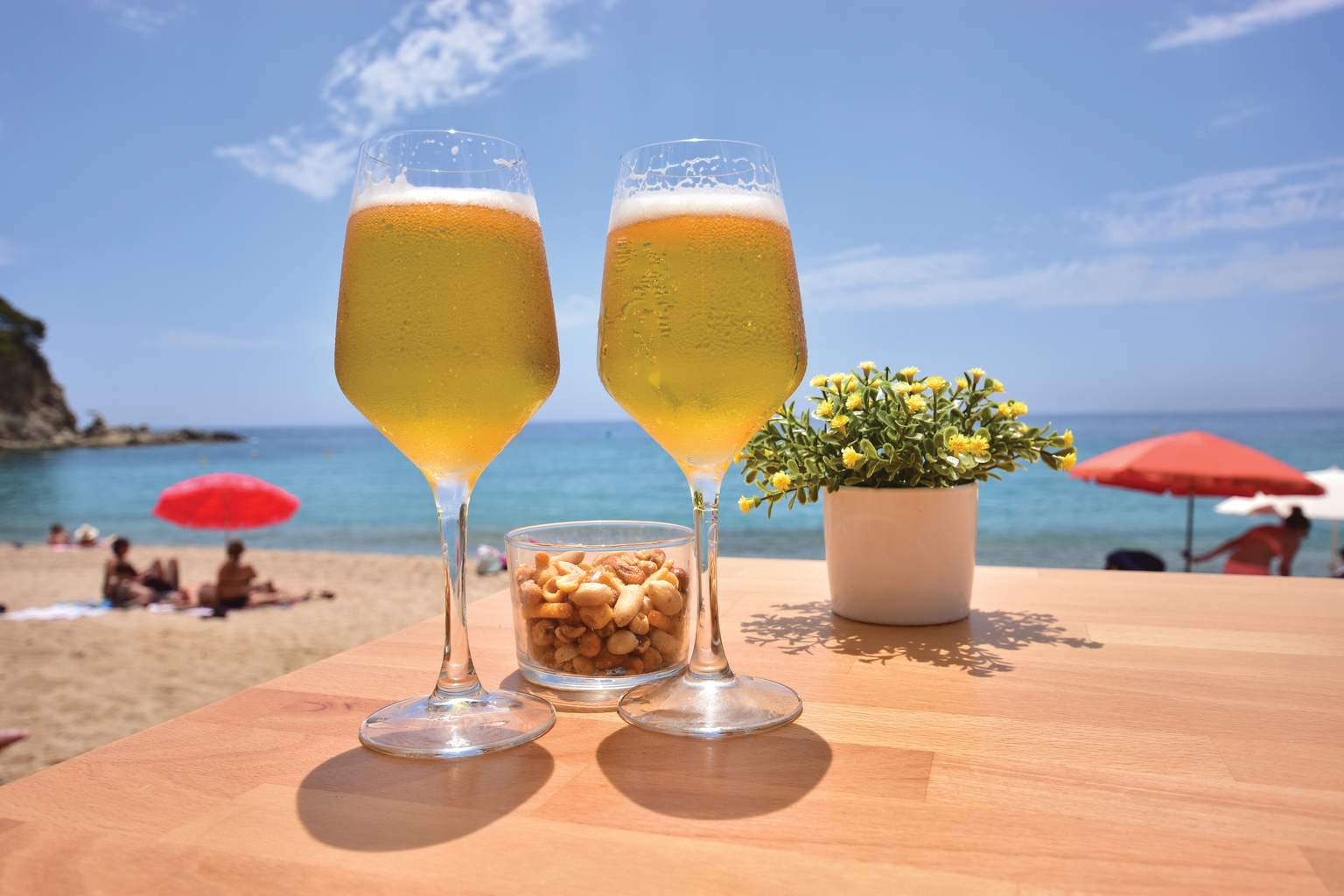 lloret de mar, camping canyelles, campsite