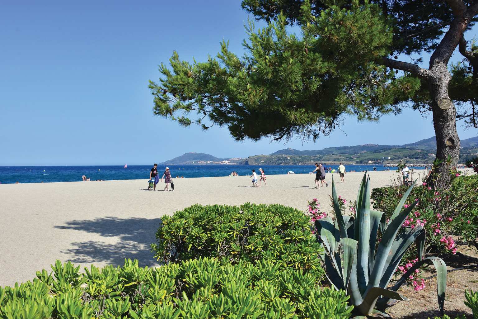 Argelès-sur-Mer