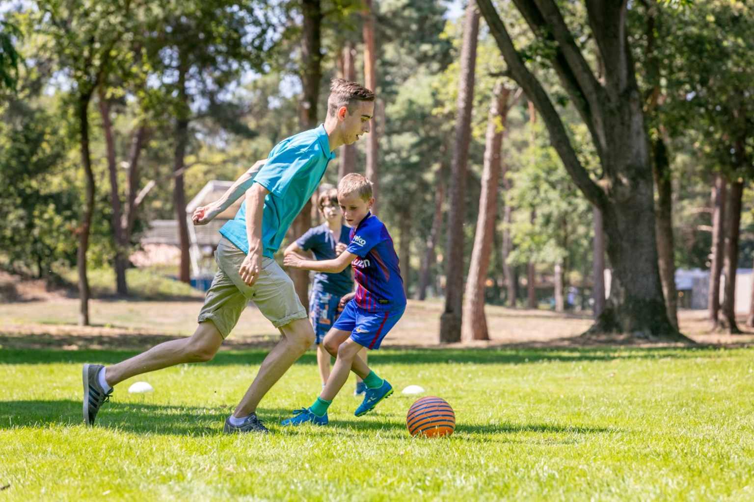 Vakantiepark de Bergen 15
