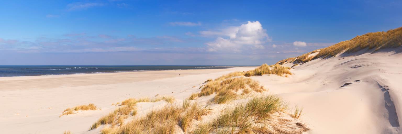 Zeelands Sanddünen