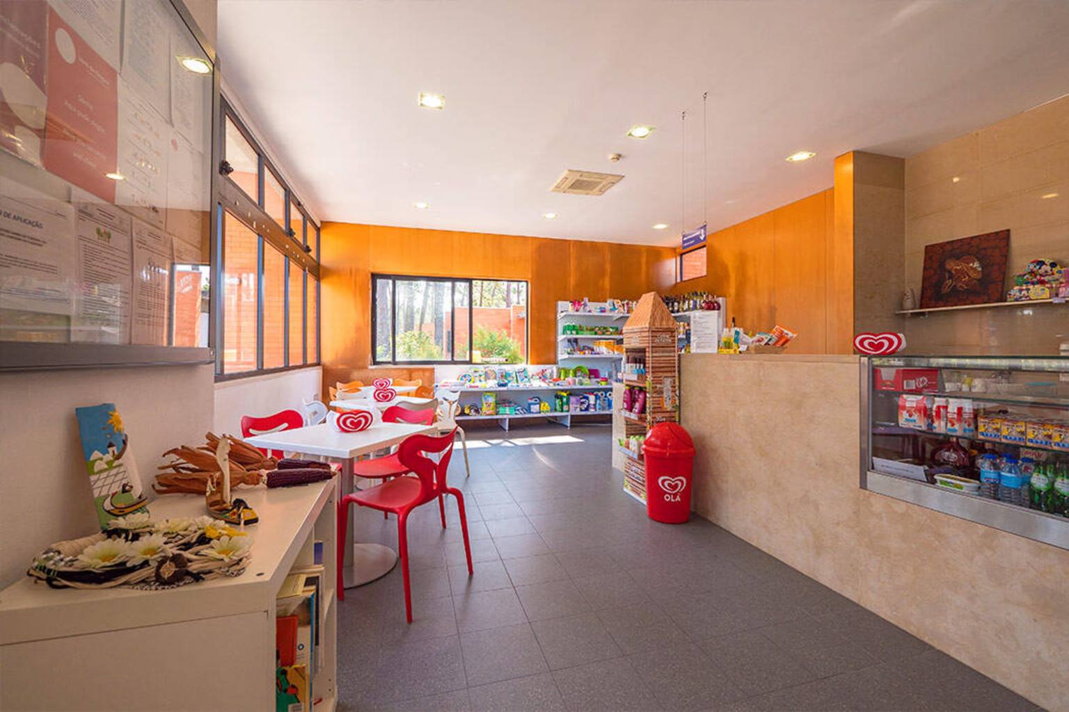 Orbitur Vagueira 18