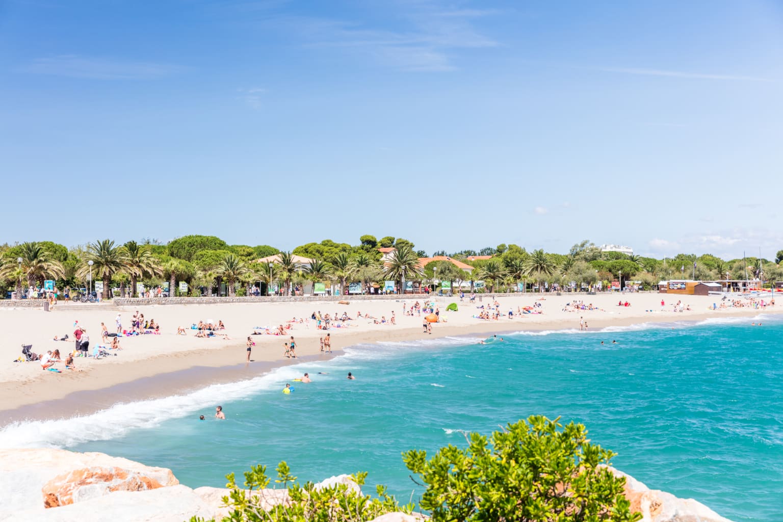 Sweeping sandy beach backed by trees Argeles Plages, Roussillon