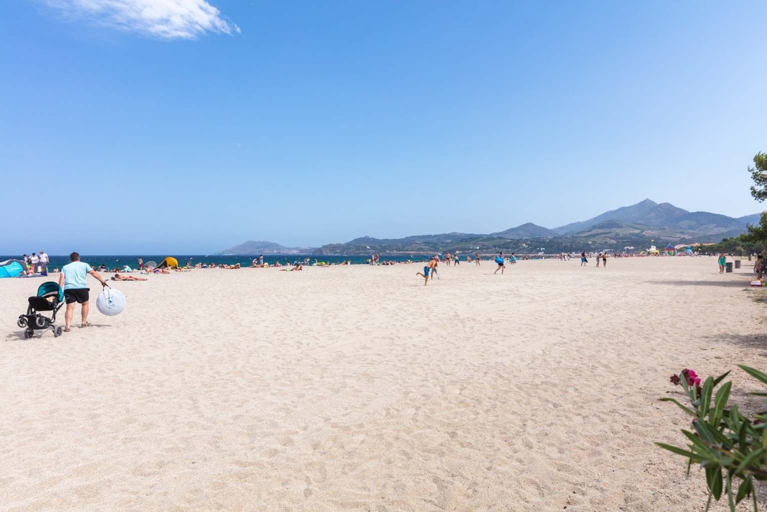 Les Pins 6