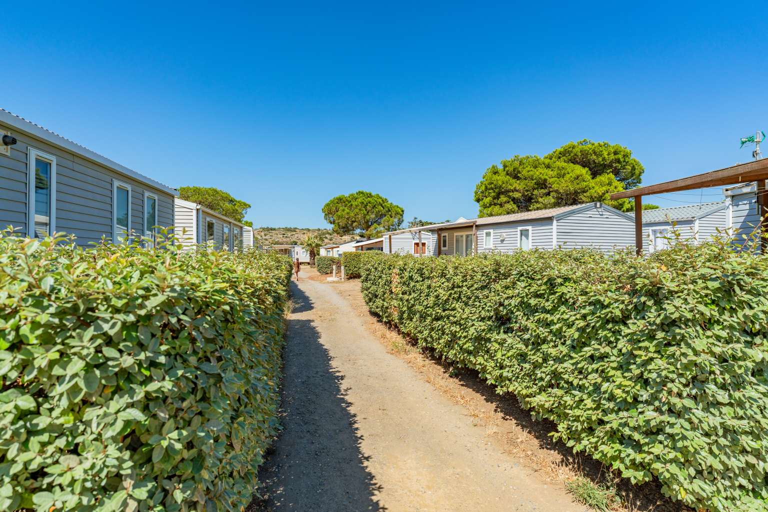 Holiday homes facing each other in rows behind hedges at Novela Port La Nouvelle campsite, Languedoc
