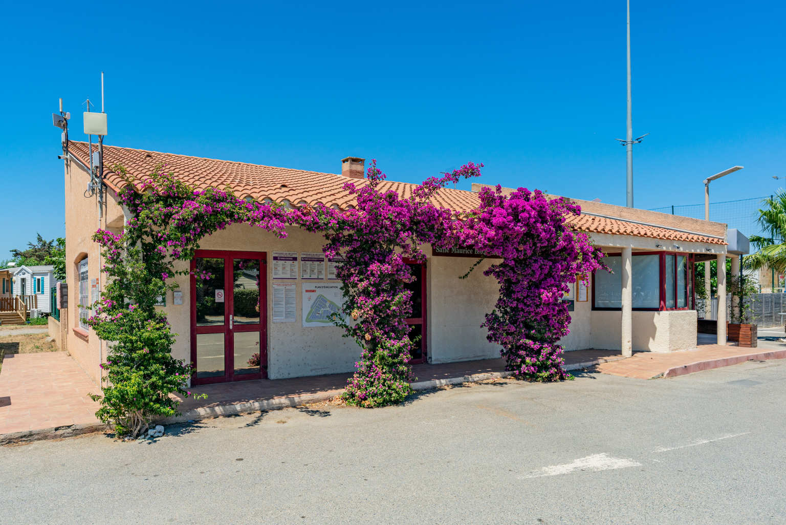 Sanitation building covered in pink bouganvillia at Novela Port La Nouvelle campsite, Languedoc