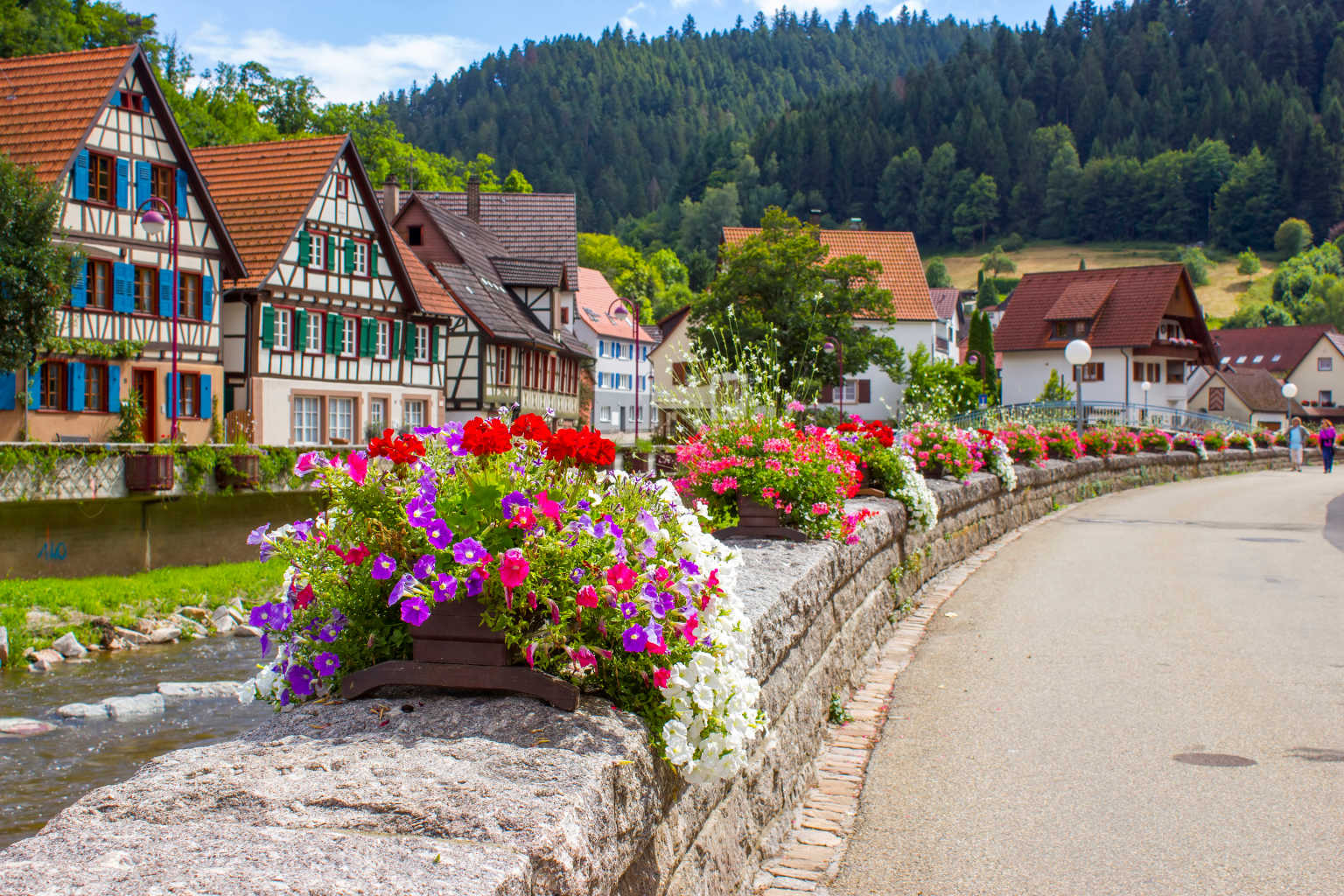 Der Schwarzwald in Deutschland