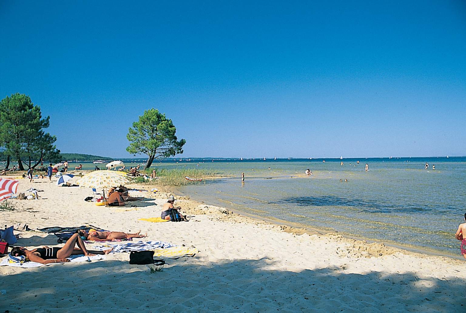 Au Lac de Biscarrosse 2