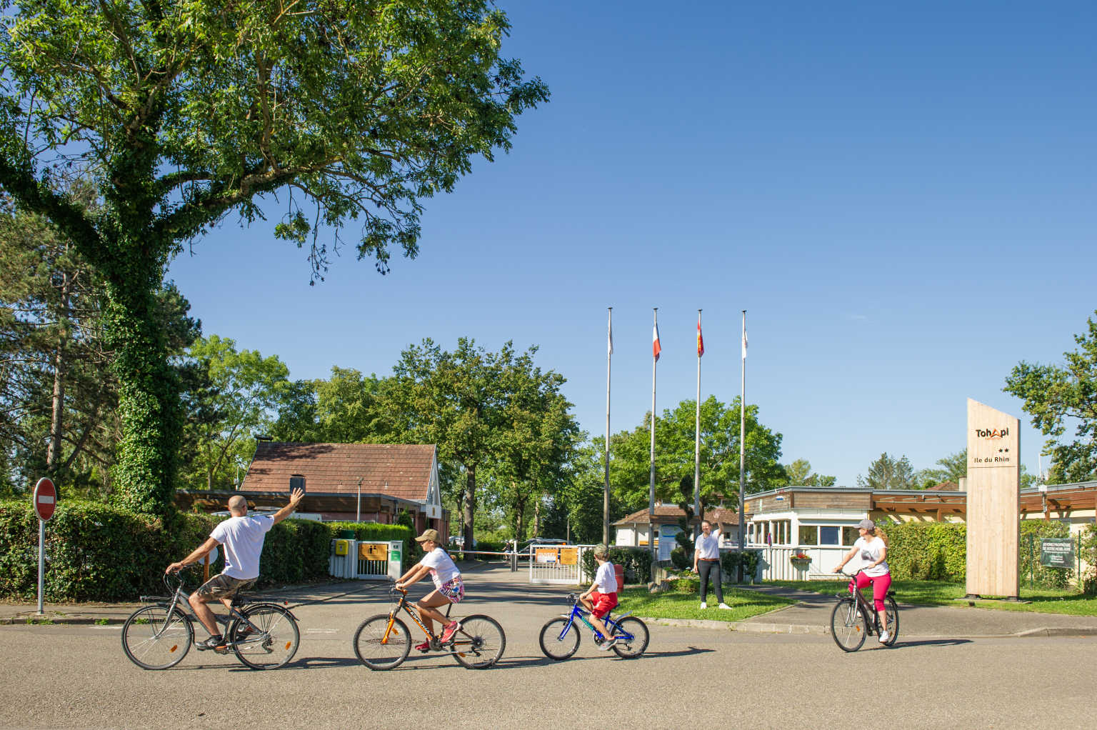L'Ile du Rhin 15