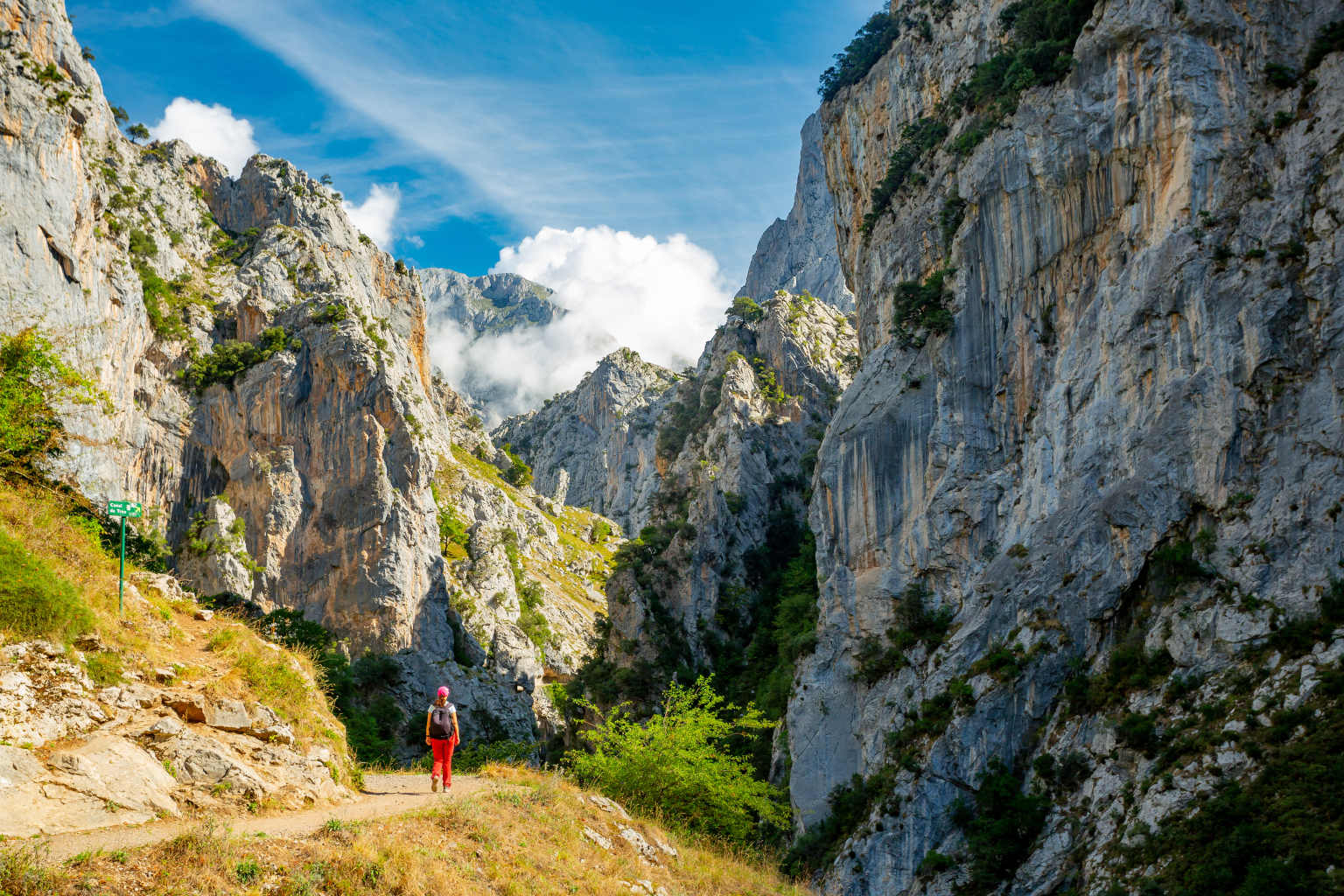 Der Picos de Europa Nationalpark