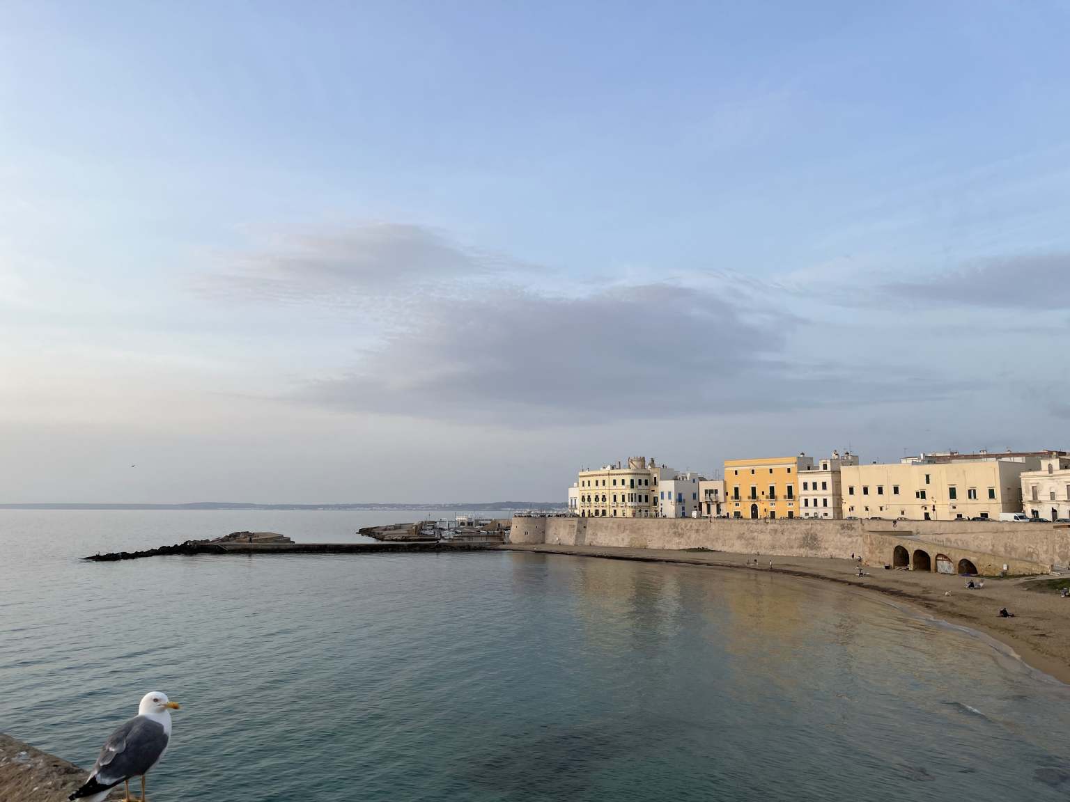 Gallipoli 1