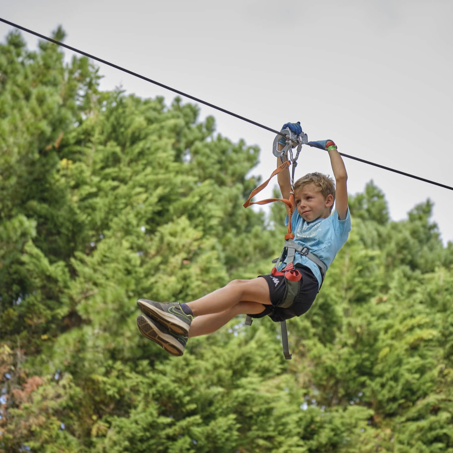 Tree top adventure parc