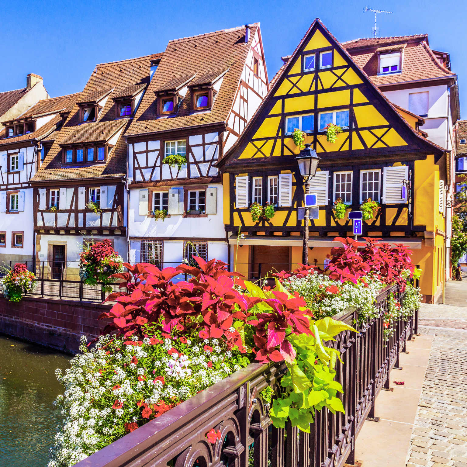 Colmar