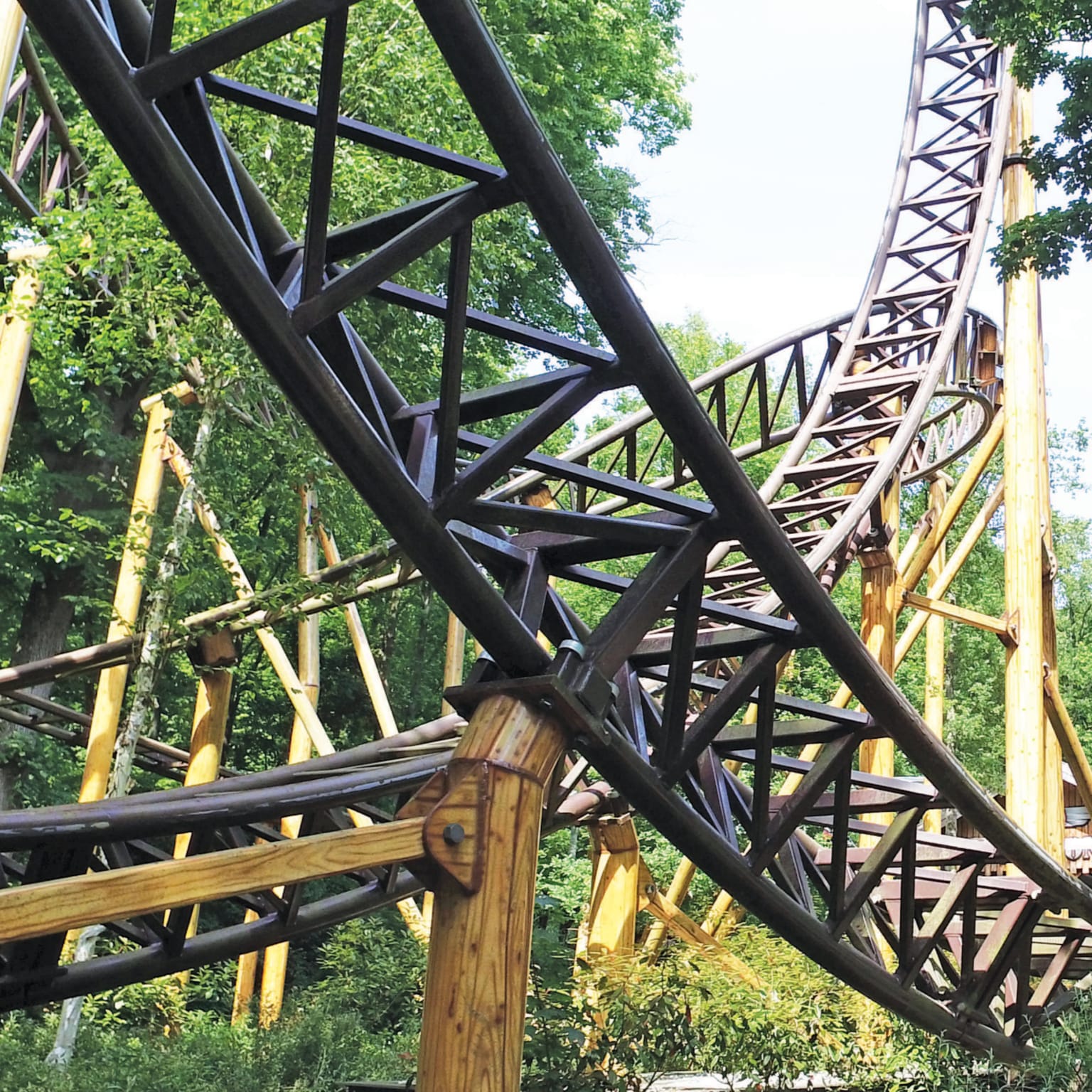 Theme Park