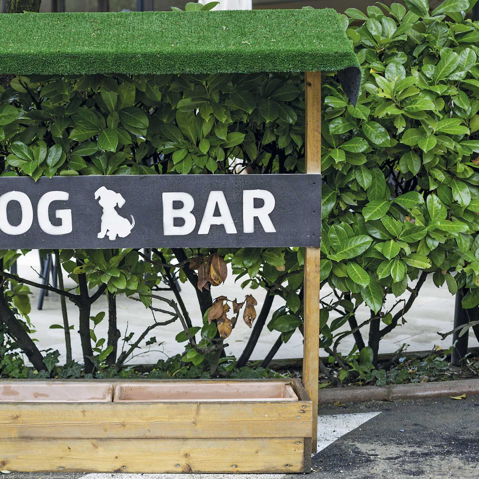 Dog friendly