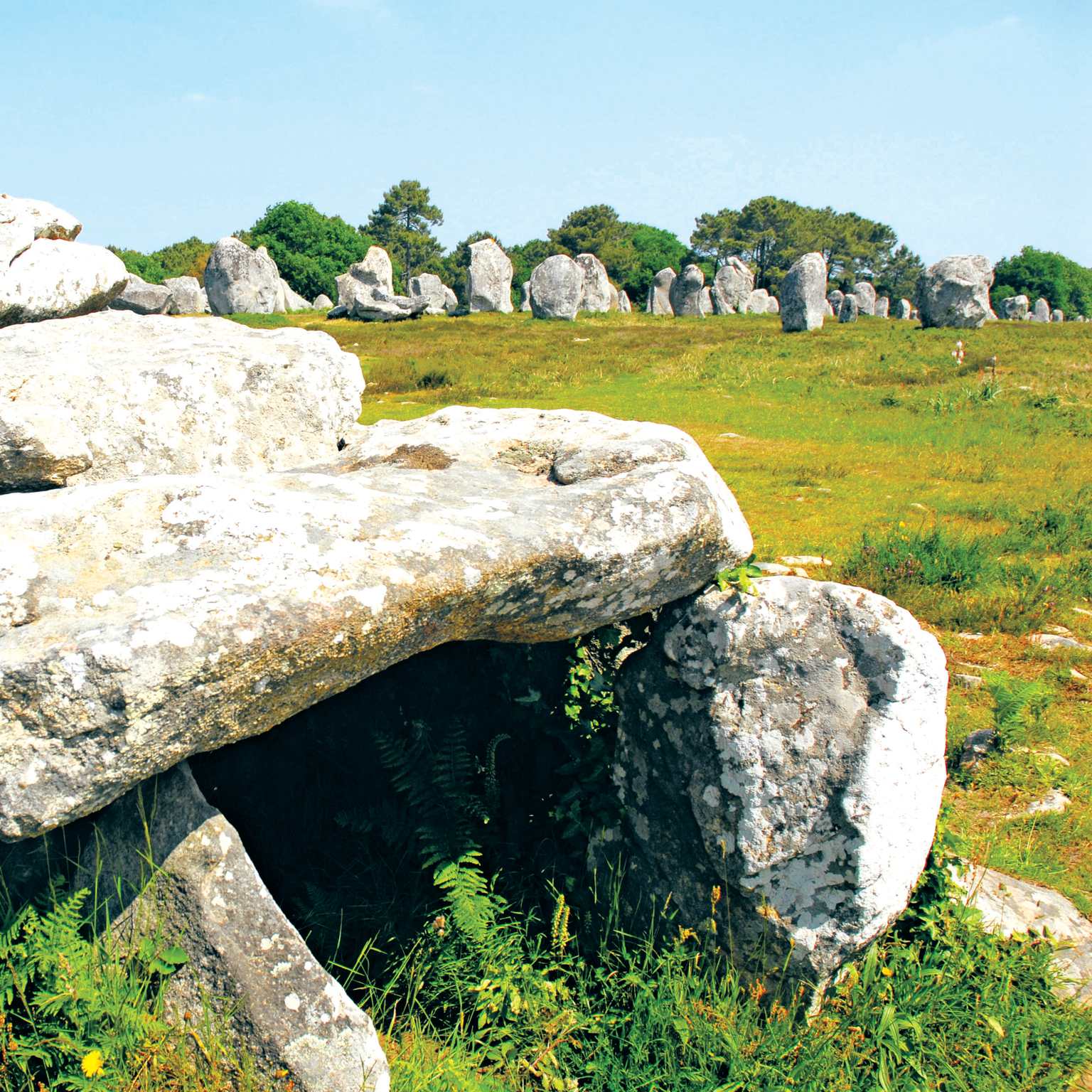 Carnac Stones
