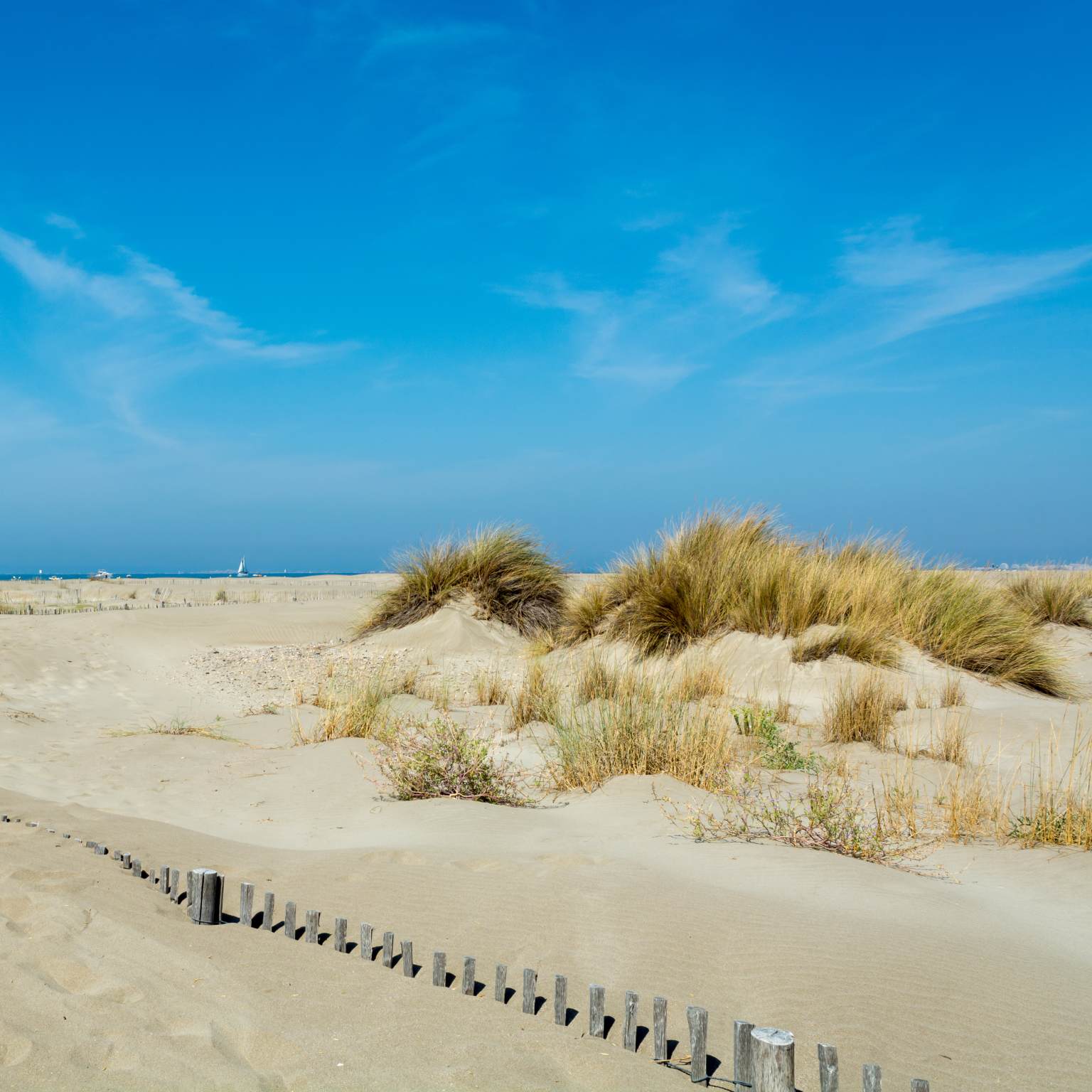Plage de l'Espiguette