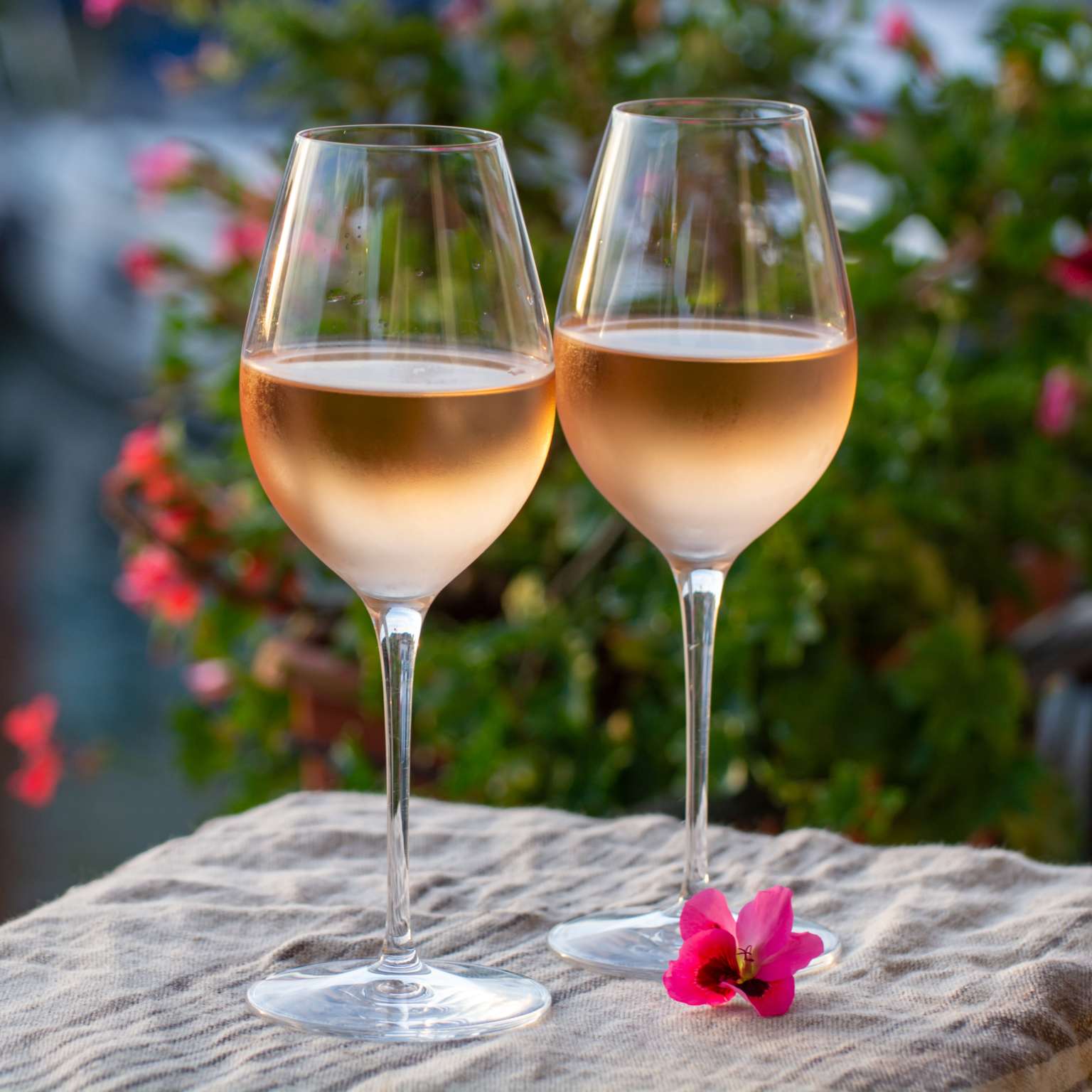 rose wine from Provence
