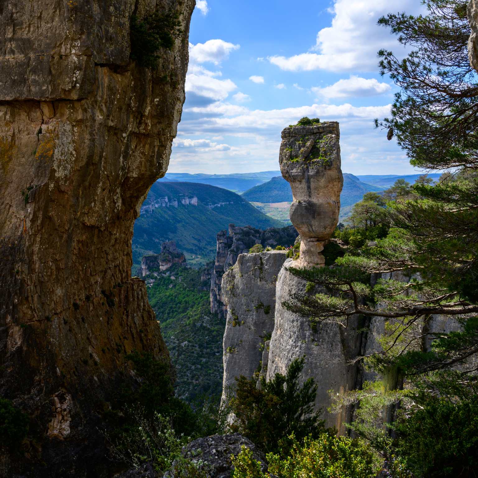 Jonte Gorges