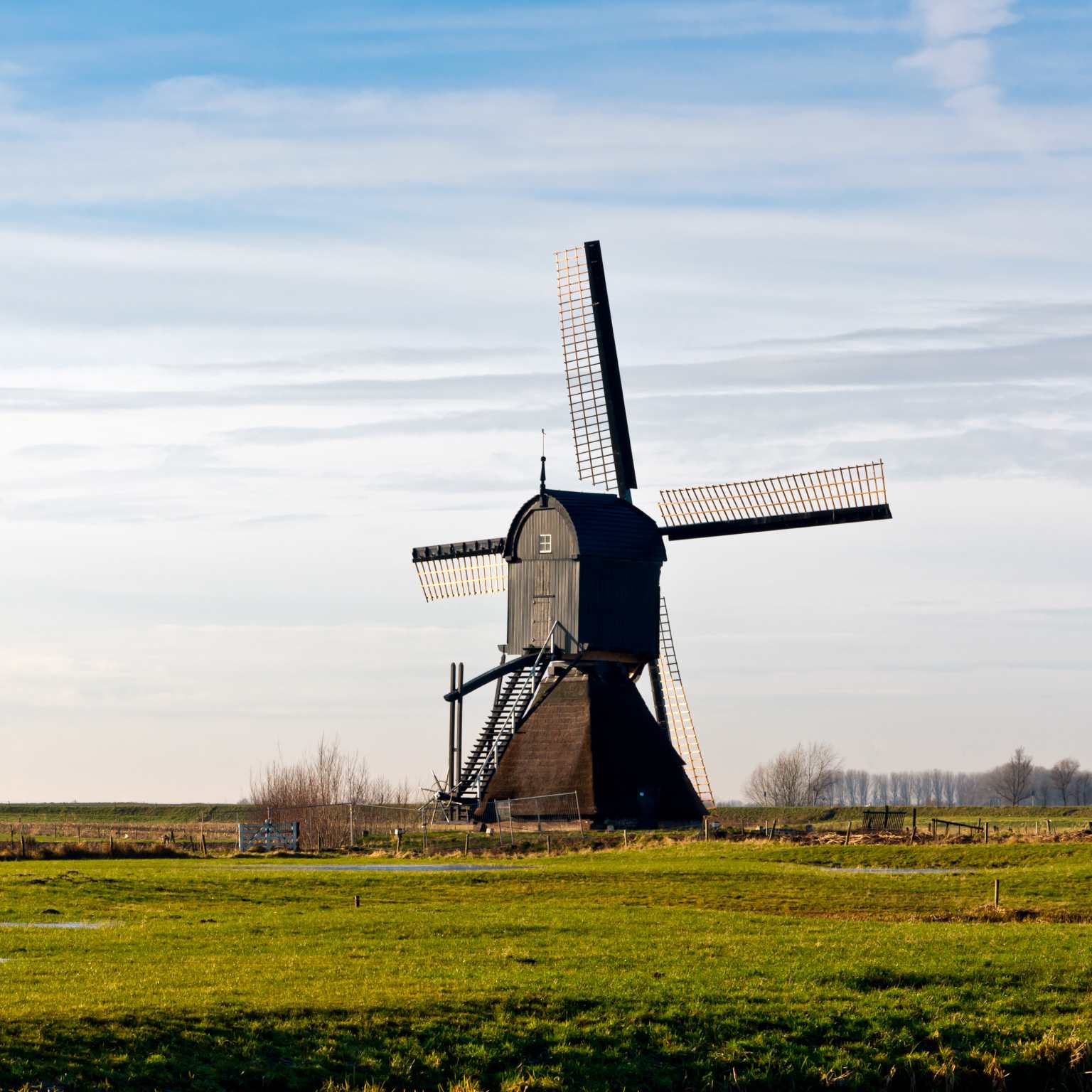 North Brabant field and windmill
