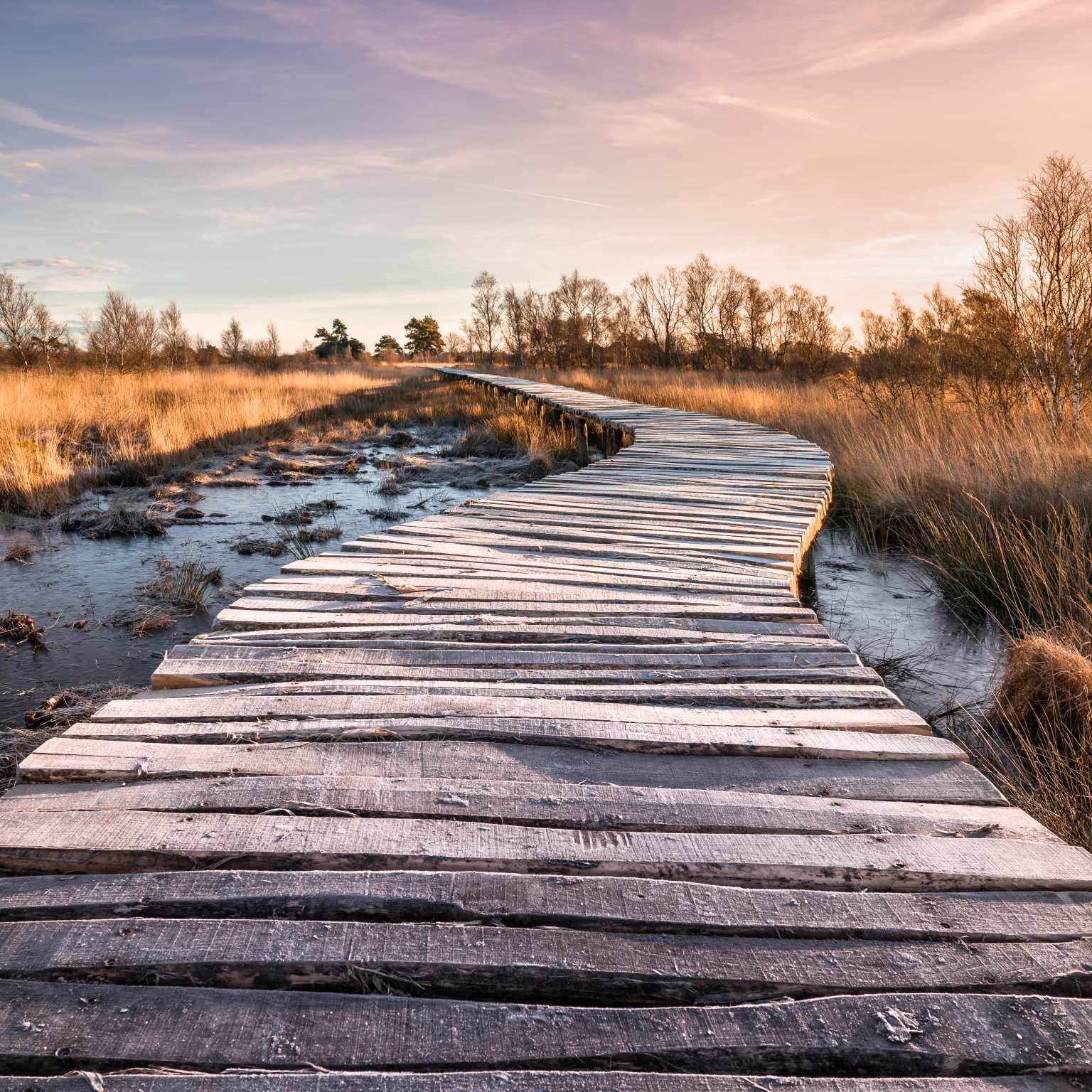 North Brabant path 