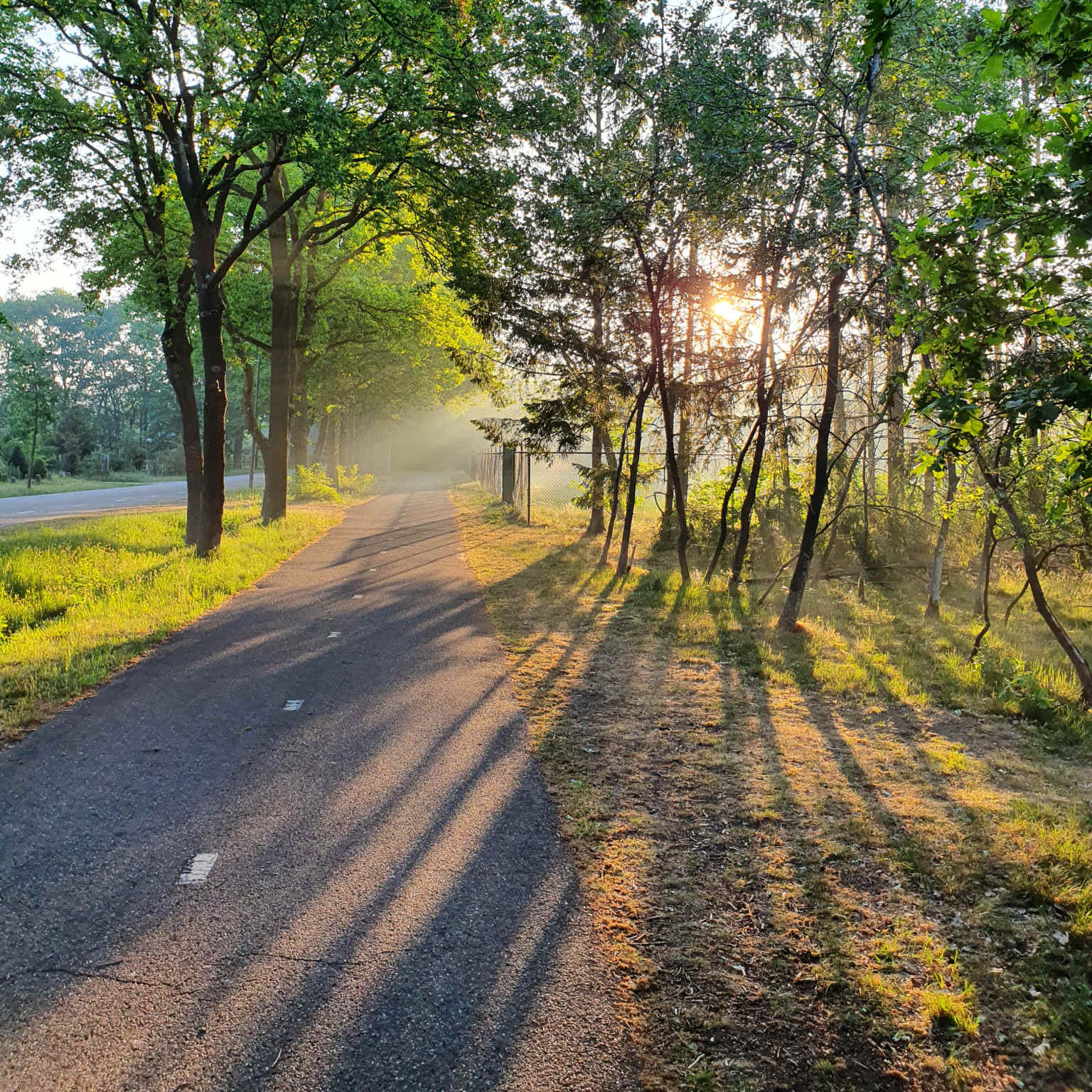 North Brabant path view