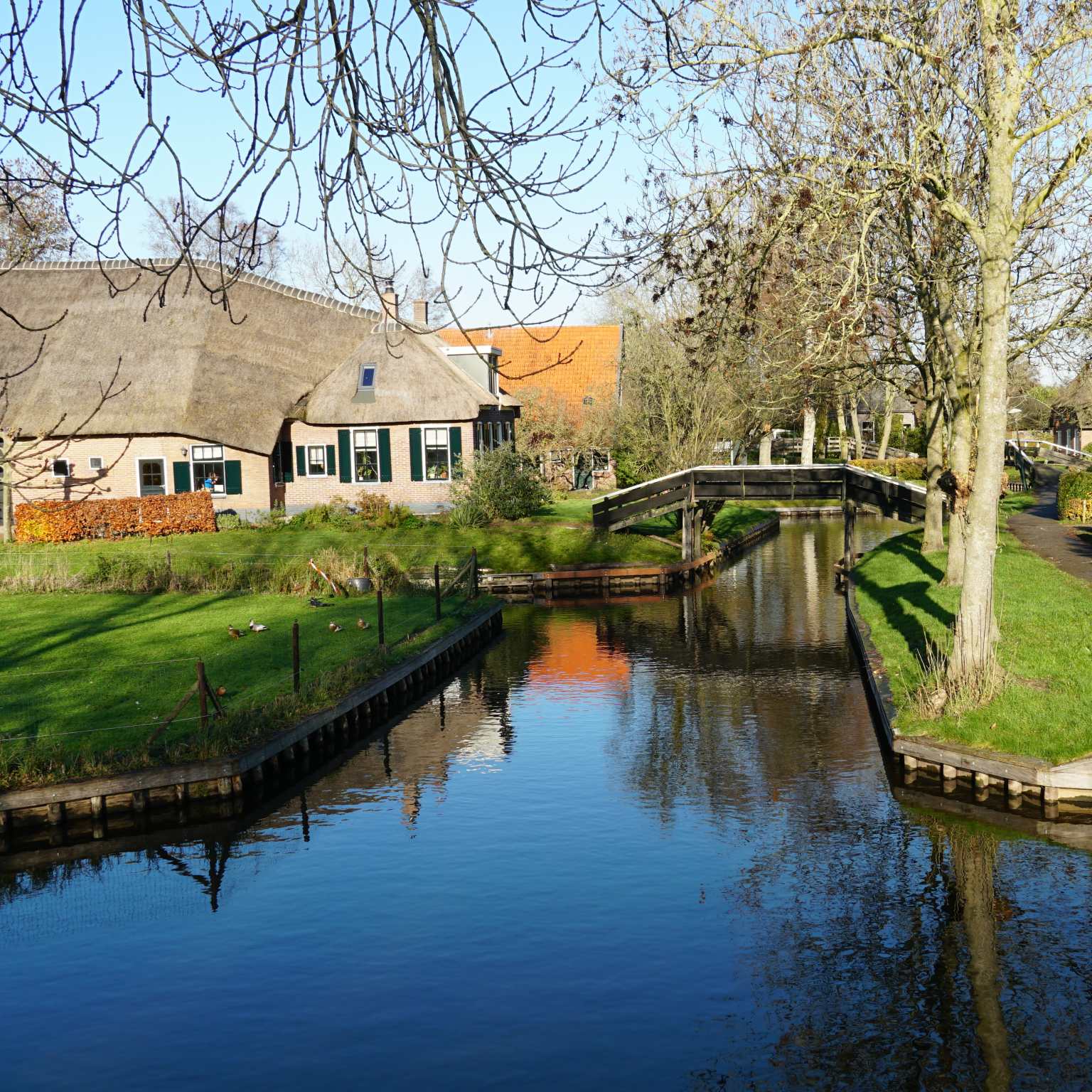 Overijssel lake view