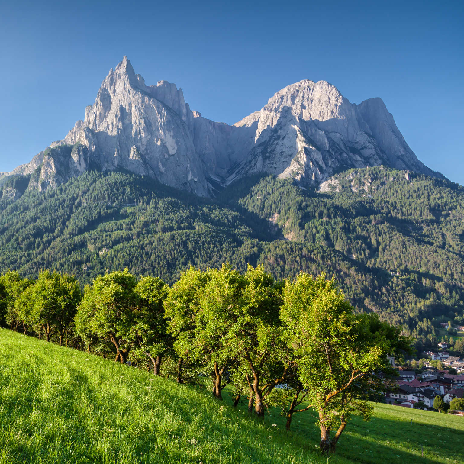 Seis am Schlern, Dolomites, South Tyrol, Italy