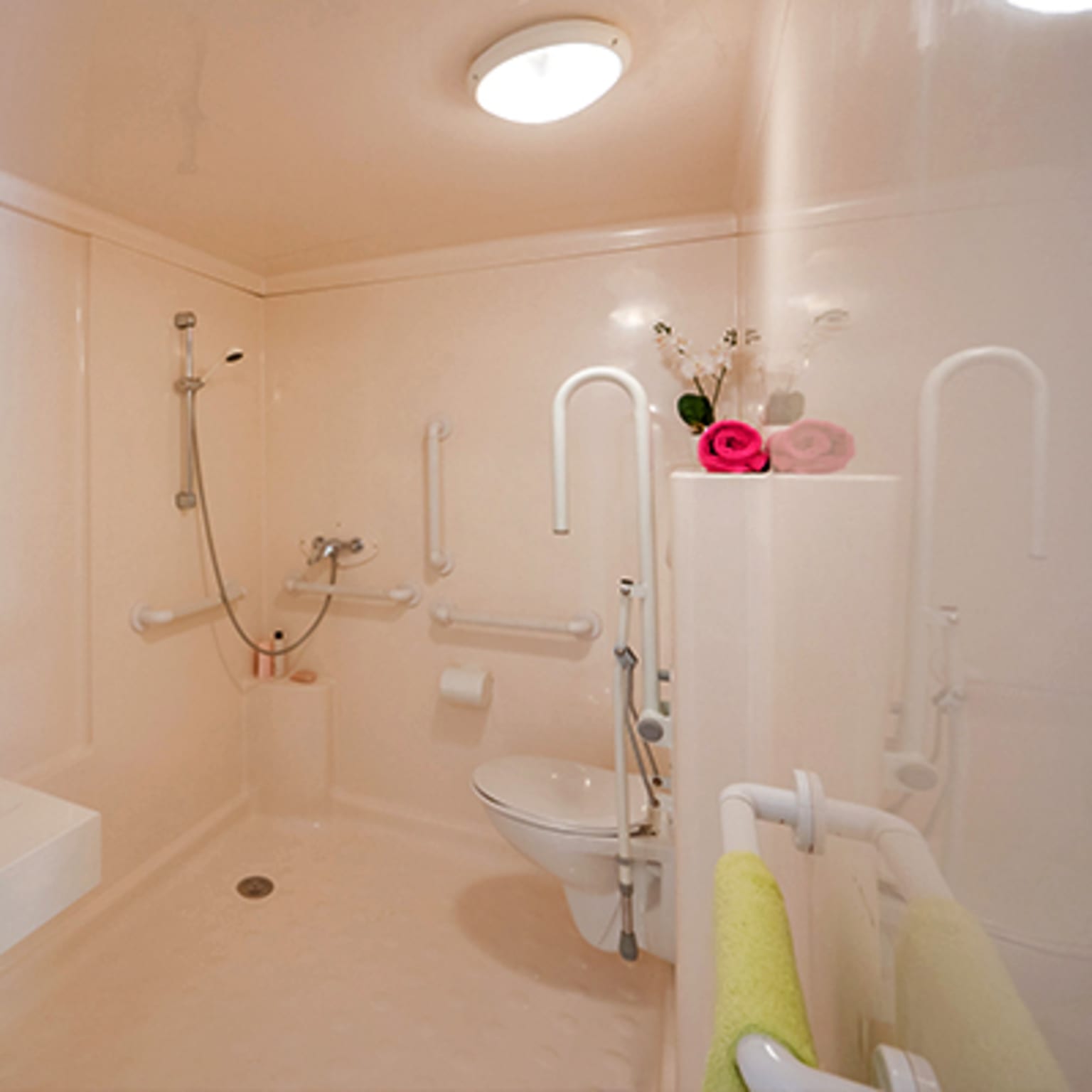 Wheelchair adapted mobile home, bathroom
