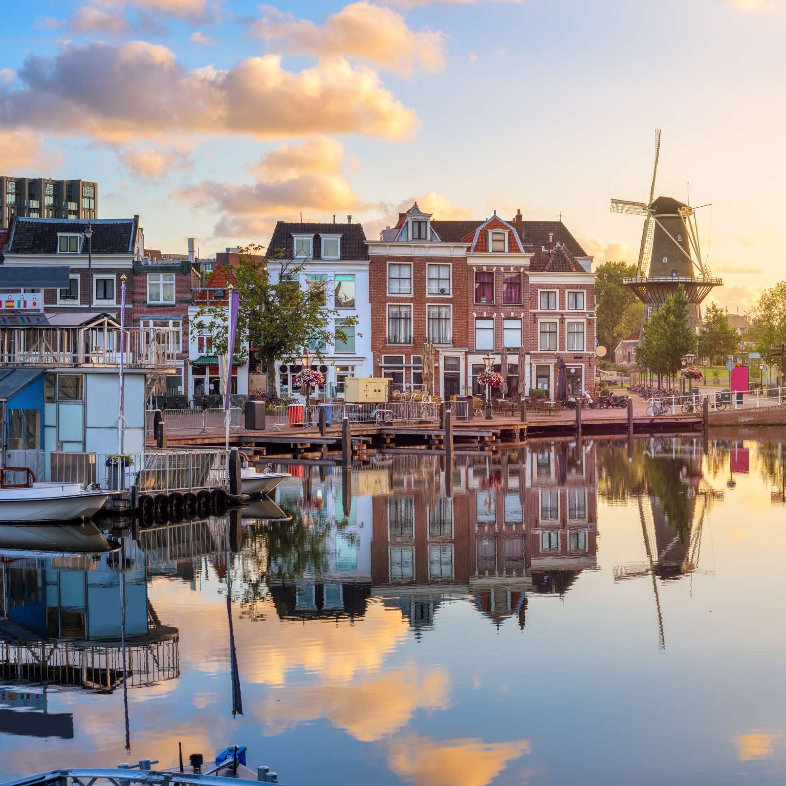 South Holland 