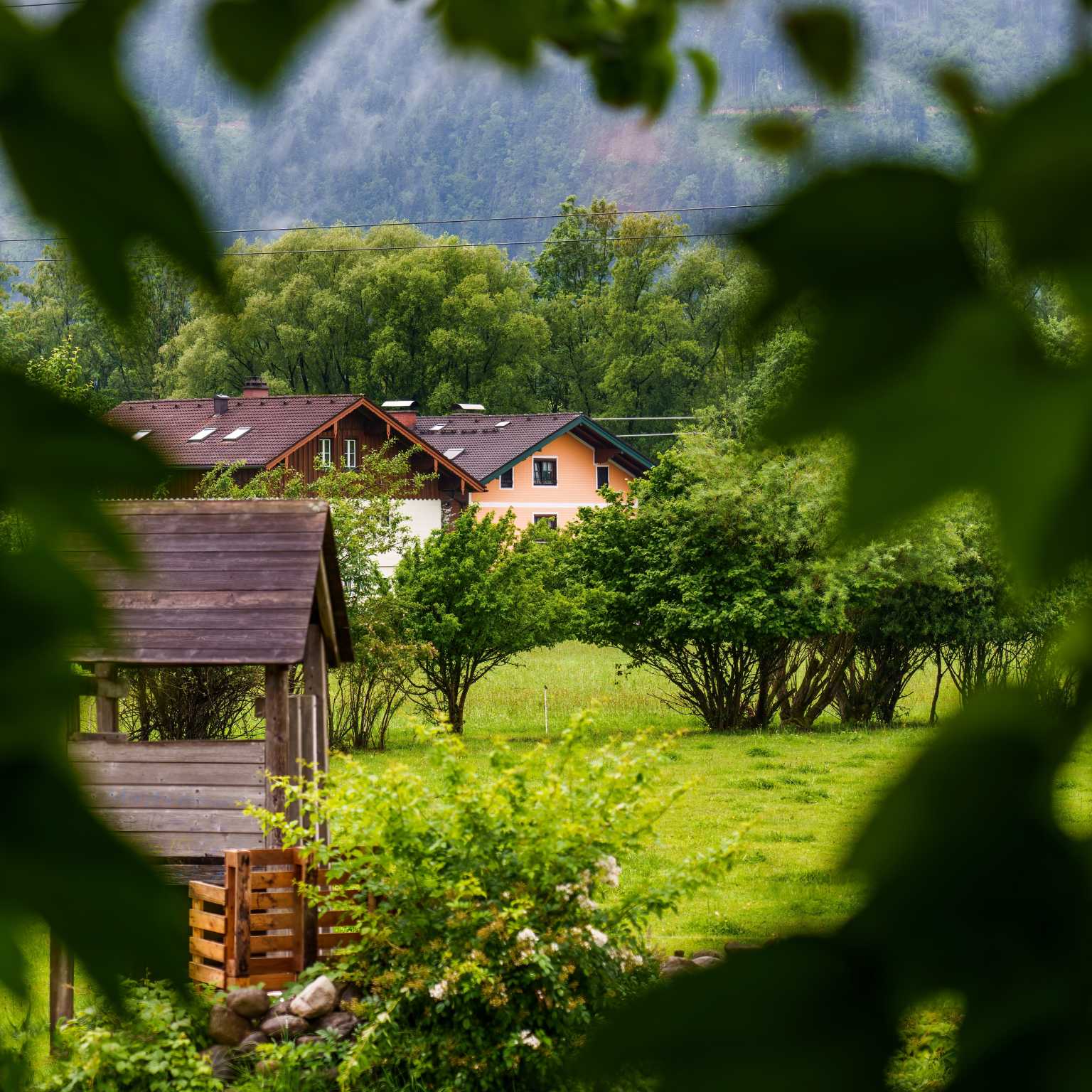 Salzburgerland view through trees