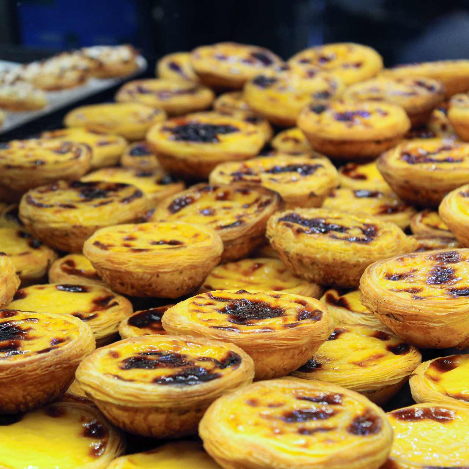 pastel de nata