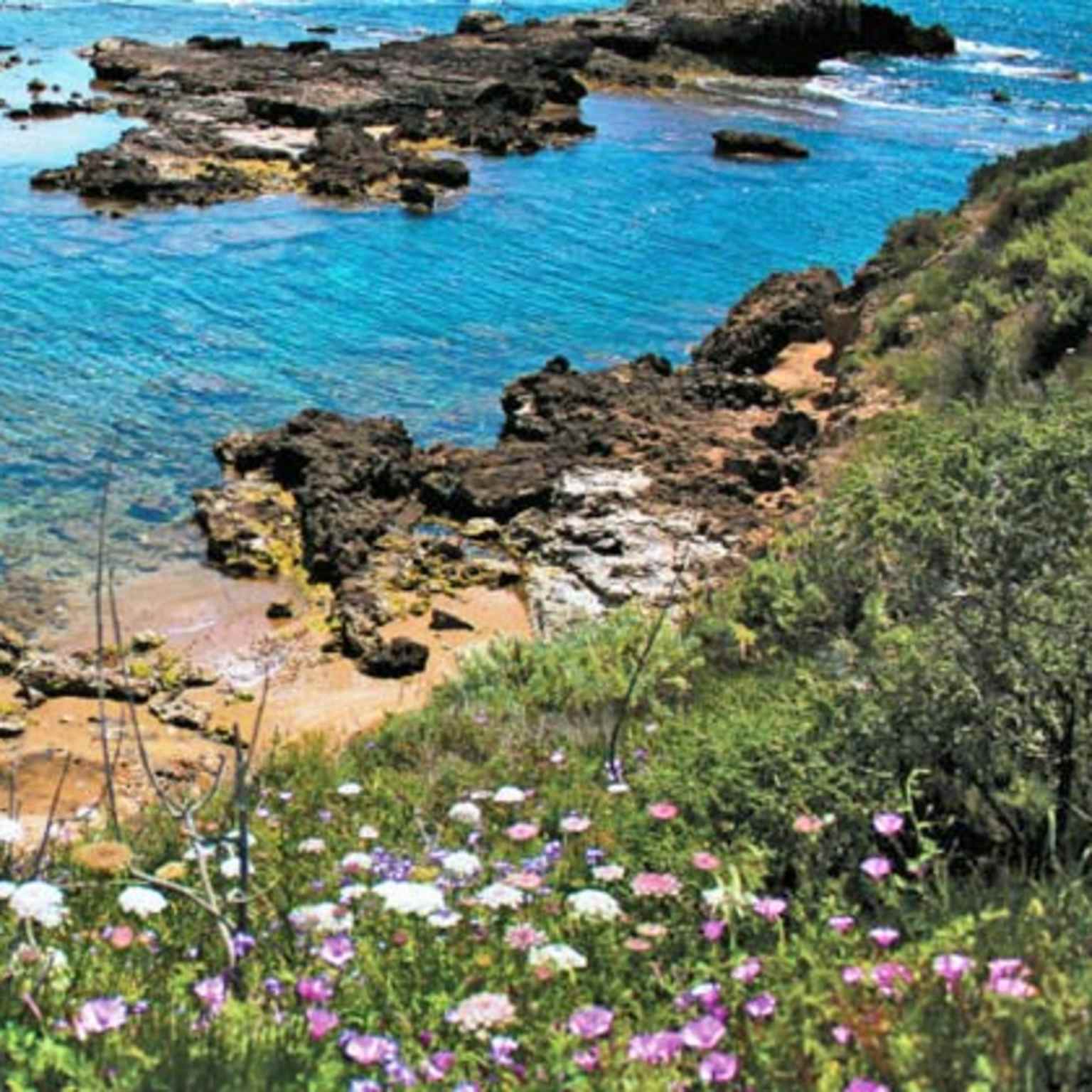 Sardinia cliff view