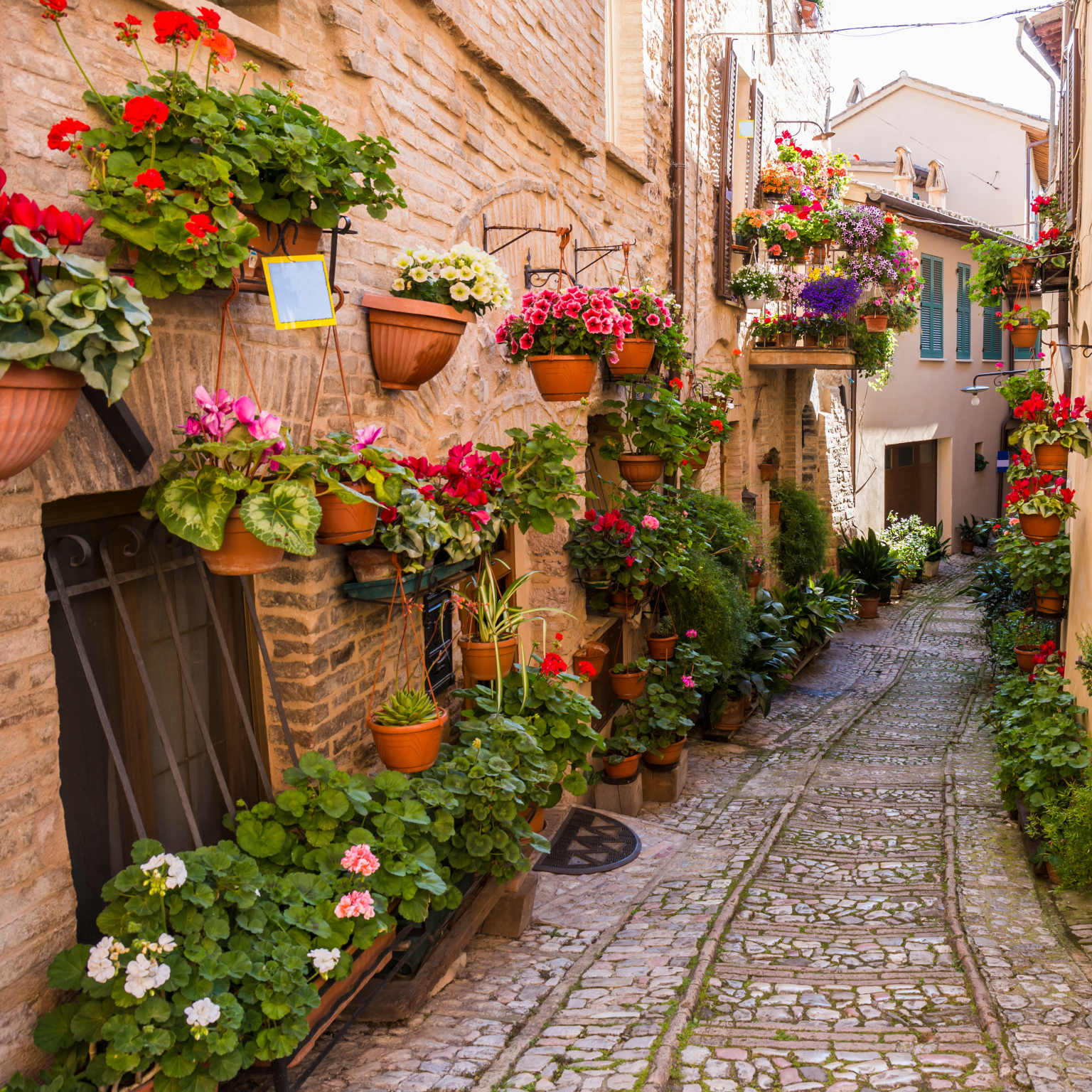 Floral streets of Spello in Umbria, Italy.