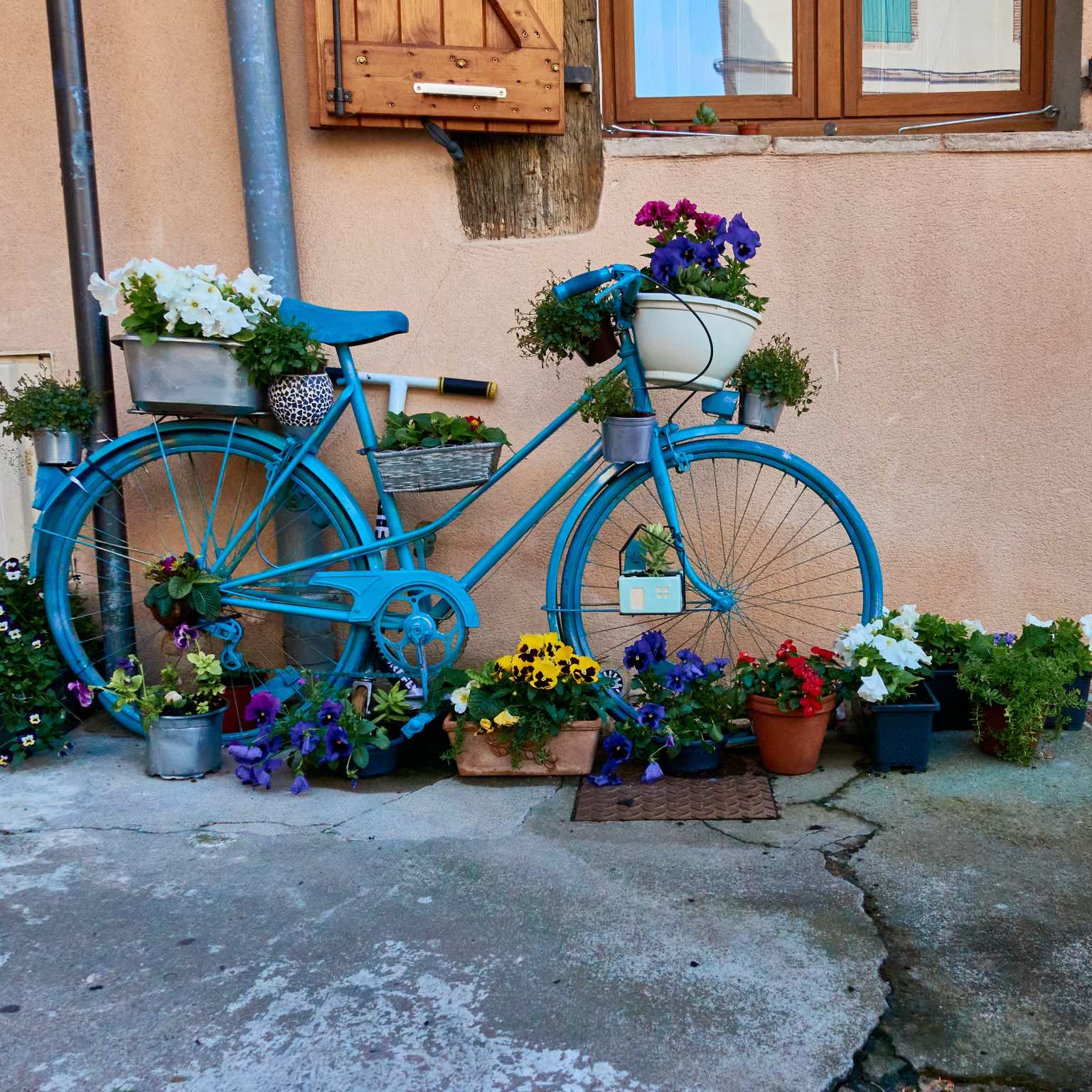 bicycle