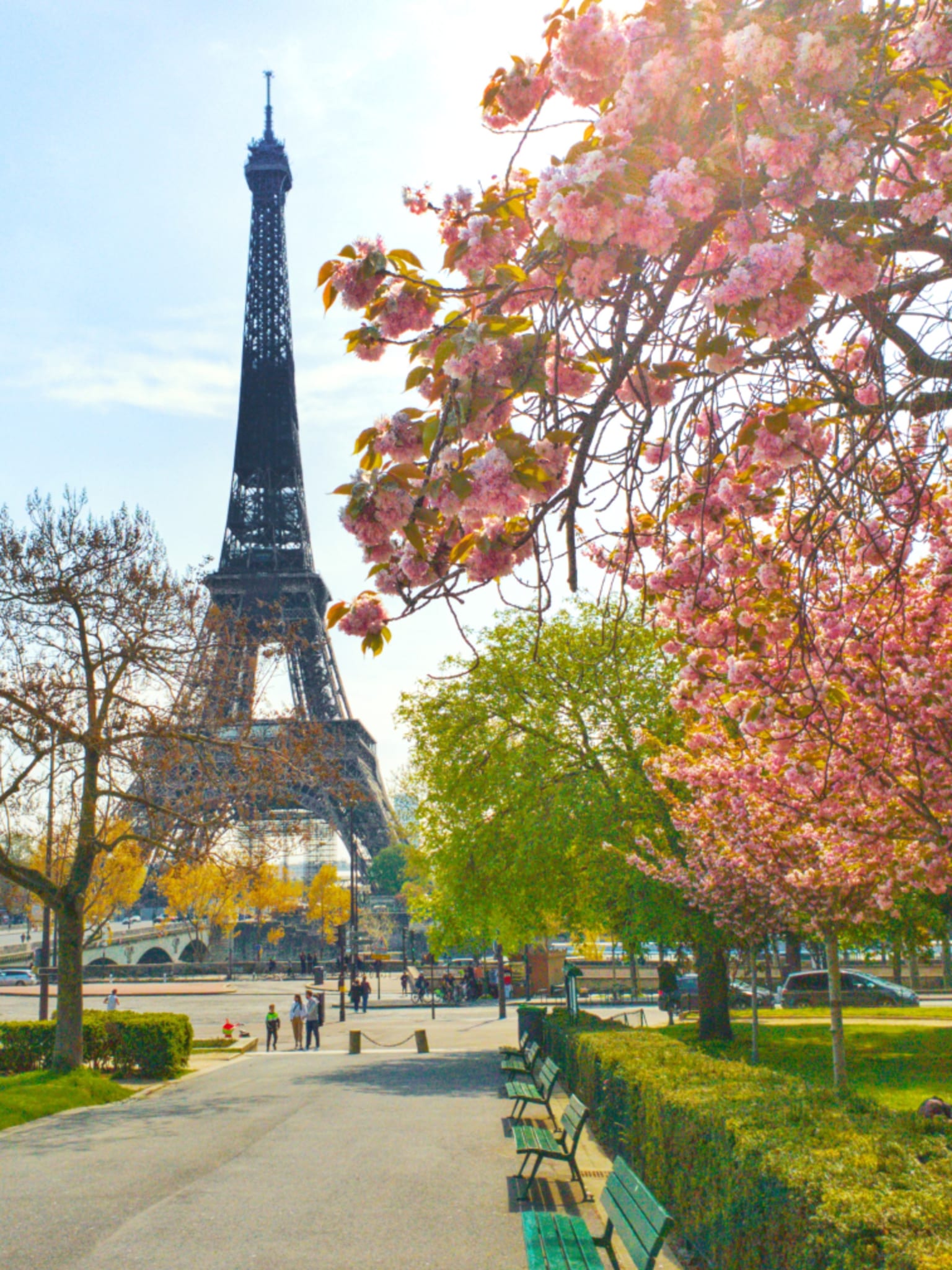 Camping in Paris