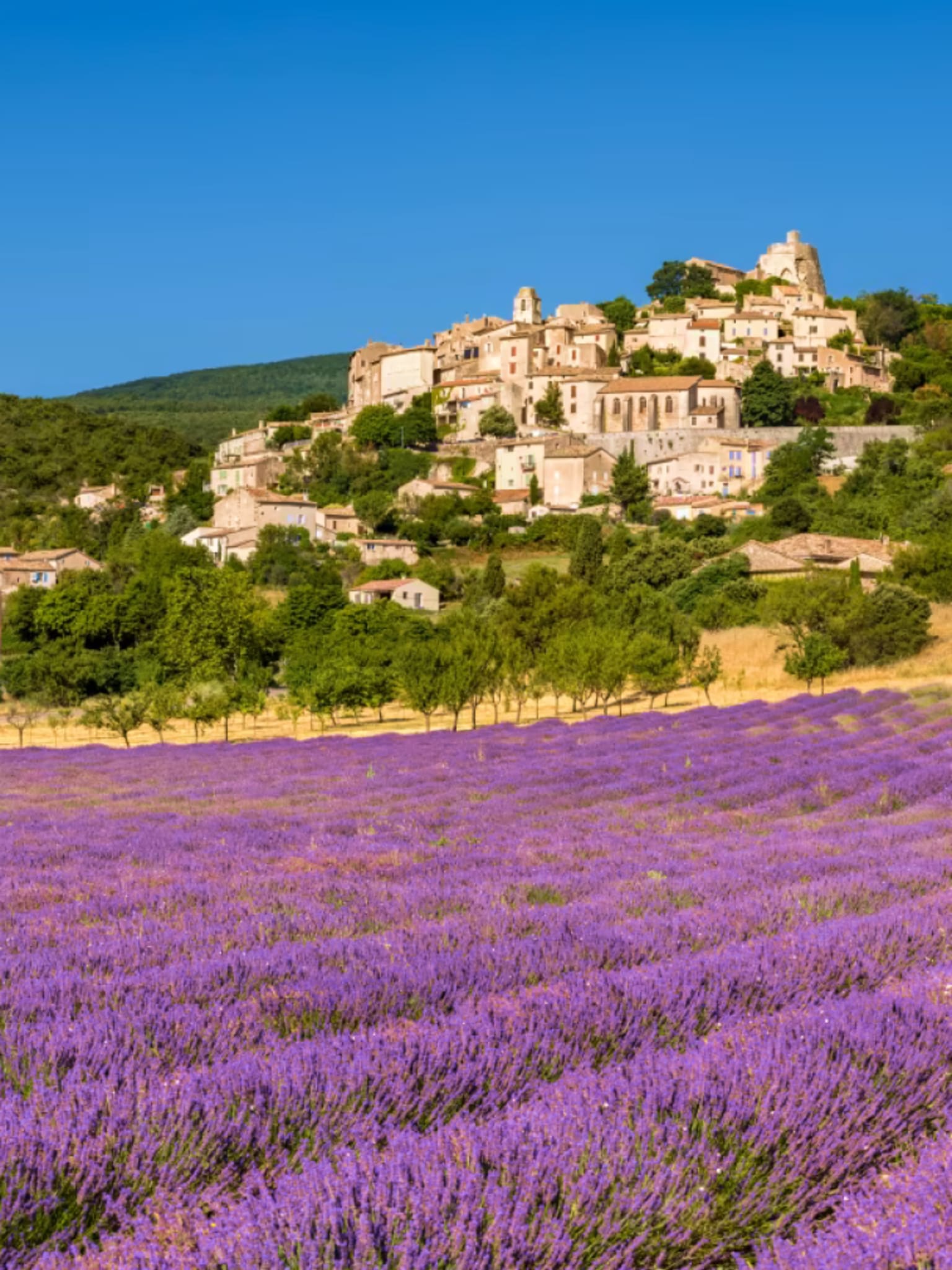 Camping in der Provence