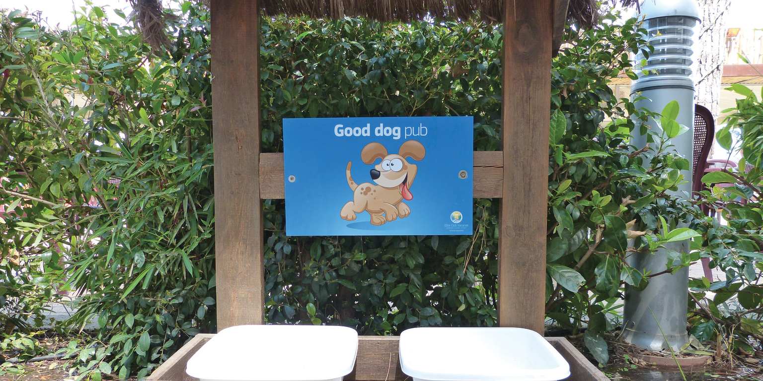 Dog friendly