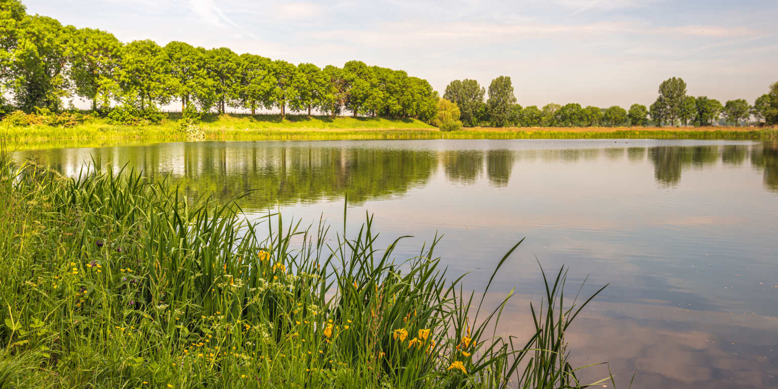 North Brabant lake