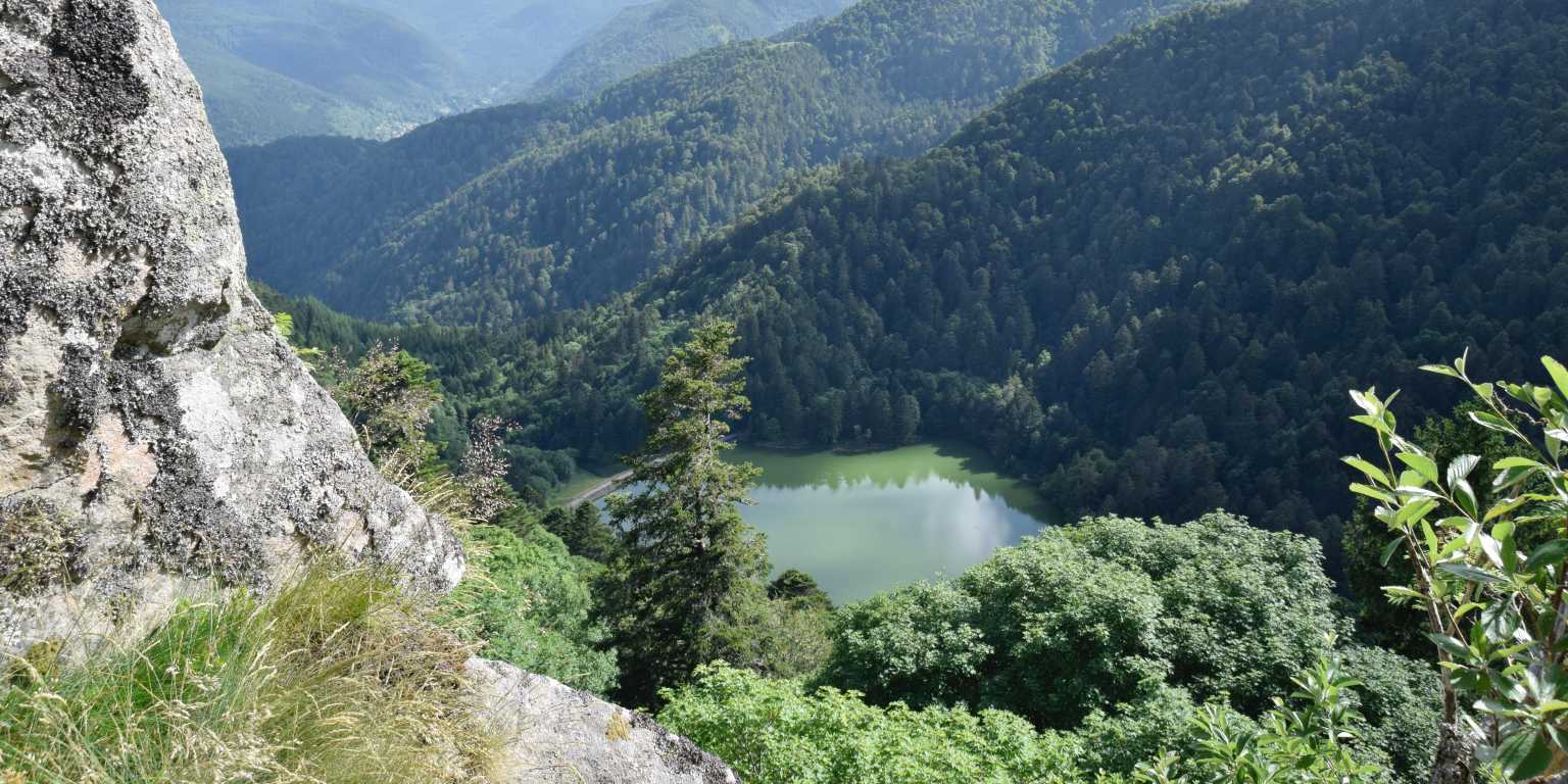 Distant view of rolling hills in Alsace, France