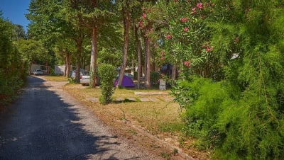 Camping Les Avignon | Provence | Frankreich | Eurocamp