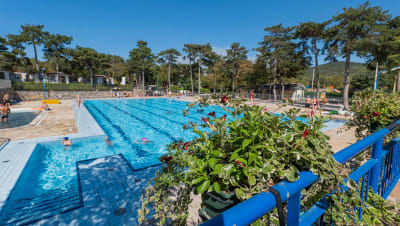 Camping Mare Pineta | Adria | Italien | Eurocamp